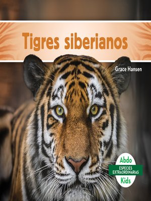 cover image of Tigres siberianos (Siberian Tigers)